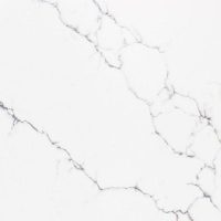 Carrara Countertop